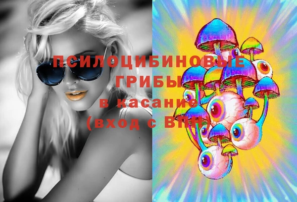 дурь Киреевск