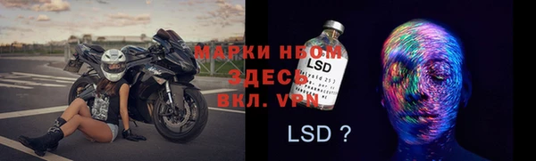 гидра Киренск