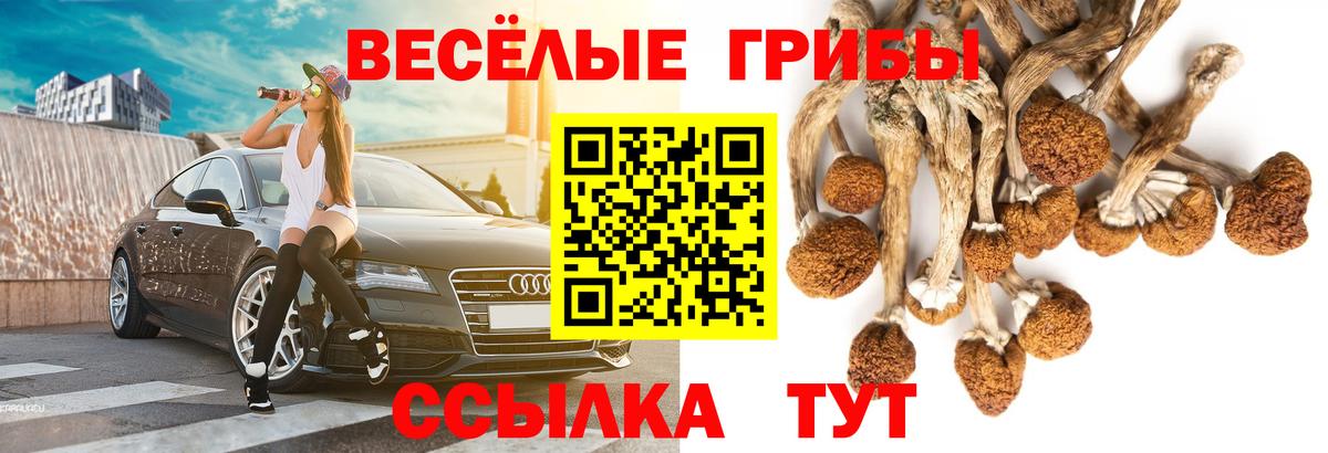 Псилоцибиновые грибы MAGIC MUSHROOMS  Вход с VPN  Галлюциногенные грибы MAGIC MUSHROOMS  Евпатория 