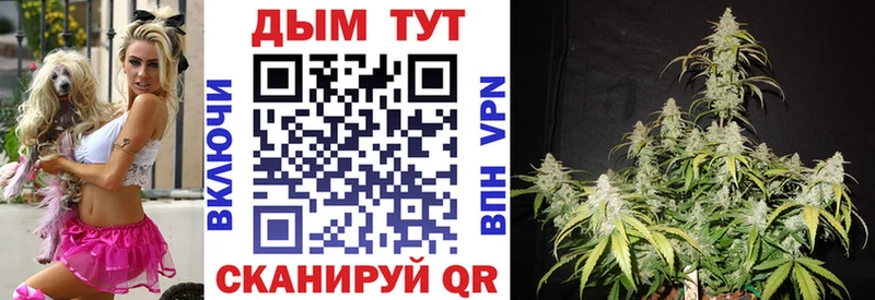 купить наркоту  Евпатория  Бошки Шишки план 