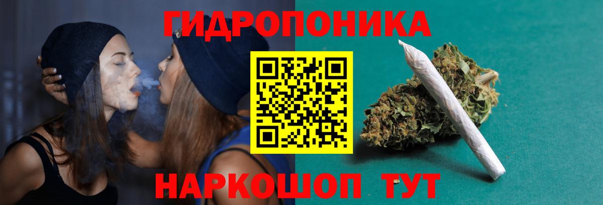 Марихуана AK-47  Бошки Шишки сатива  Евпатория  Шишки марихуана план  Вход с VPN  Каннабис Bruce Banner 